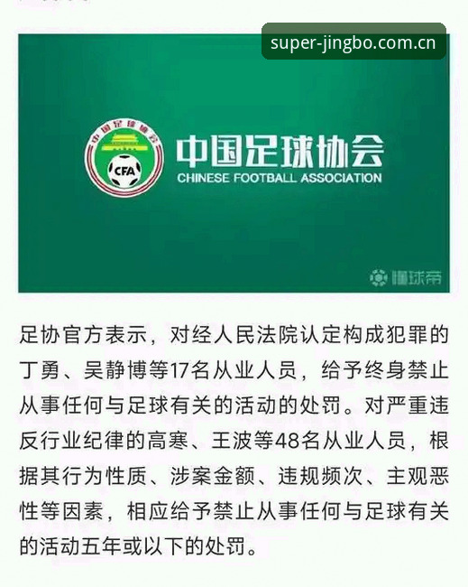 竞博体育手机版 3大警示信号—中国足协第三批禁足名单深度解析,竞博体育用户必读的行业观察